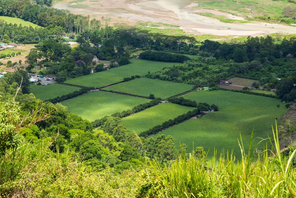 Construcción de chalé en parcela propia en Madrid en terreno natural rodeado de vegetación
